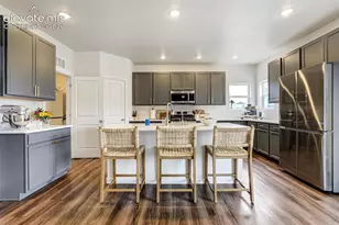 9138 Buffalo Bur Trail, Colorado Springs, CO 80925 - Photo 11