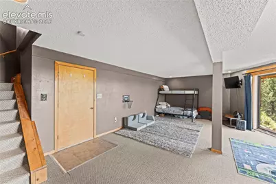 102 Douglas Fir Lane, Woodland Park, CO 80863 - Photo 29