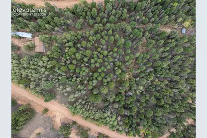 1028 Beaver Creek Drive, Florissant, CO 80816 - Photo 19