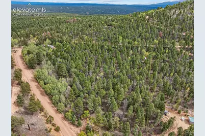 1028 Beaver Creek Drive, Florissant, CO 80816 - Photo 9