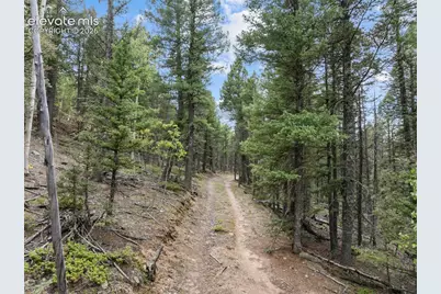 1028 Beaver Creek Drive, Florissant, CO 80816 - Photo 5