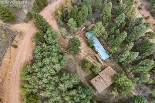 1028 Beaver Creek Dr, Florissant, CO 80816 - Photo 1