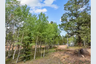 1028 Beaver Creek Drive, Florissant, CO 80816 - Photo 11