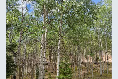 1028 Beaver Creek Drive, Florissant, CO 80816 - Photo 17