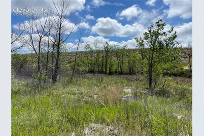 Peyton Highway, Peyton, CO 80831 - Photo 5