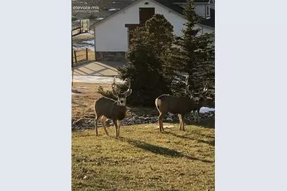 2385 Antelope Ridge Trail, Parker, CO 80138 - Photo 13