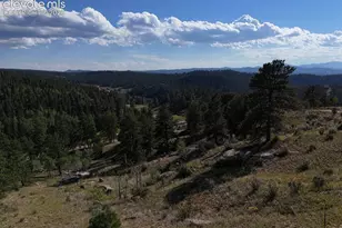 4687 W Hwy 24, Florissant, CO 80816 - Photo 43