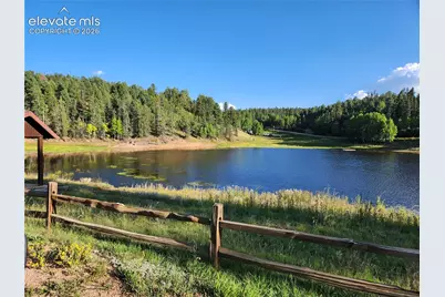 1076 Spring Valley Lane, Florissant, CO 80816 - Photo 19