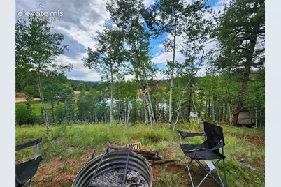 1076 Spring Valley Lane, Florissant, CO 80816 - Photo 11