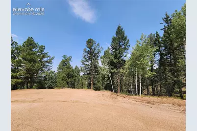 1076 Spring Valley Lane, Florissant, CO 80816 - Photo 27