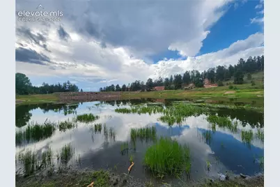 1076 Spring Valley Lane, Florissant, CO 80816 - Photo 25