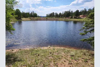 1076 Spring Valley Lane, Florissant, CO 80816 - Photo 15