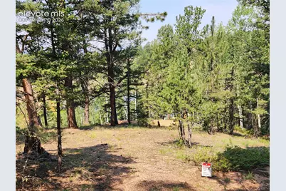 1076 Spring Valley Lane, Florissant, CO 80816 - Photo 33