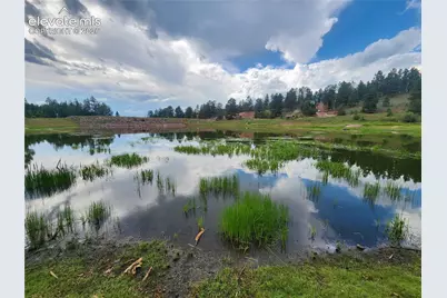 1076 Spring Valley Lane, Florissant, CO 80816 - Photo 23
