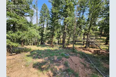 1076 Spring Valley Lane, Florissant, CO 80816 - Photo 29