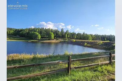 1076 Spring Valley Lane, Florissant, CO 80816 - Photo 21