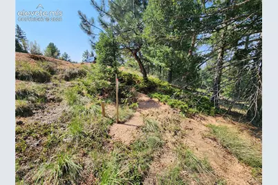 1076 Spring Valley Lane, Florissant, CO 80816 - Photo 31