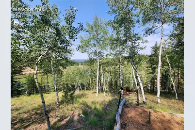 1076 Spring Valley Lane, Florissant, CO 80816 - Photo 39