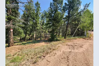 1076 Spring Valley Lane, Florissant, CO 80816 - Photo 29