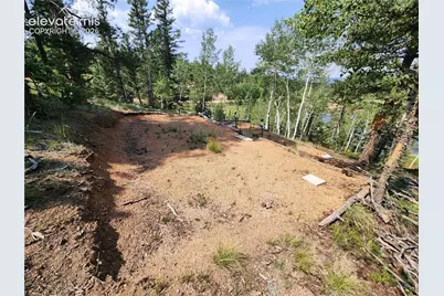 1076 Spring Valley Lane, Florissant, CO 80816 - Photo 37