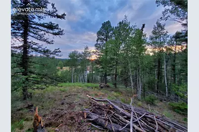 1076 Spring Valley Lane, Florissant, CO 80816 - Photo 5