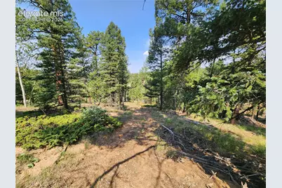 1076 Spring Valley Lane, Florissant, CO 80816 - Photo 31