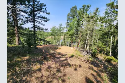 1076 Spring Valley Lane, Florissant, CO 80816 - Photo 35