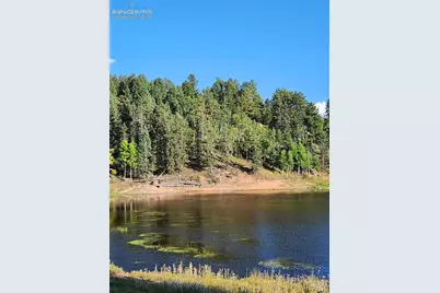 1076 Spring Valley Lane, Florissant, CO 80816 - Photo 21