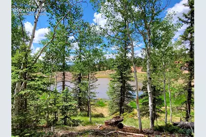 1076 Spring Valley Lane, Florissant, CO 80816 - Photo 1