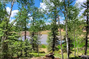 1076 Spring Valley Ln, Florissant, CO 80816 - Photo 1