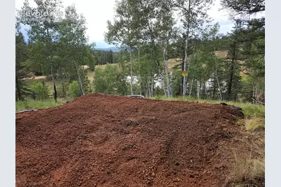 1076 Spring Valley Lane, Florissant, CO 80816 - Photo 7