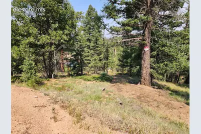 1076 Spring Valley Lane, Florissant, CO 80816 - Photo 27
