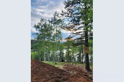 1076 Spring Valley Lane, Florissant, CO 80816 - Photo 19