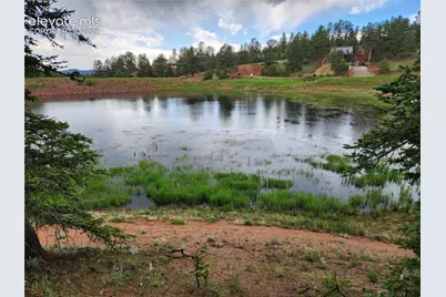1076 Spring Valley Lane, Florissant, CO 80816 - Photo 9