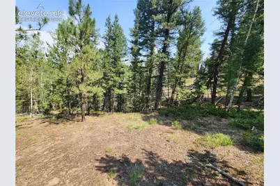 1076 Spring Valley Lane, Florissant, CO 80816 - Photo 35
