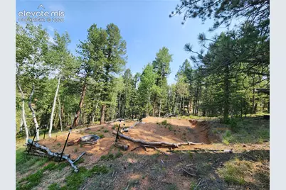 1076 Spring Valley Lane, Florissant, CO 80816 - Photo 39