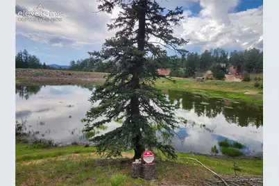 1076 Spring Valley Lane, Florissant, CO 80816 - Photo 25