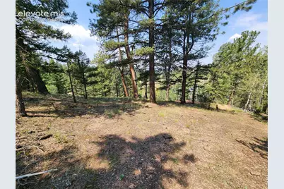 1076 Spring Valley Lane, Florissant, CO 80816 - Photo 33