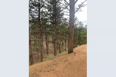 110 Wallace Drive, Florissant, CO 80816 - Photo 45