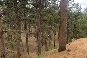 110 Wallace Dr, Florissant, CO 80816 - Photo 45