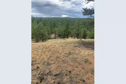 110 Wallace Drive, Florissant, CO 80816 - Photo 41