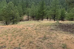 110 Wallace Dr, Florissant, CO 80816 - Photo 41