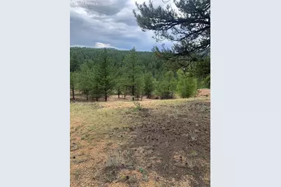 110 Wallace Drive, Florissant, CO 80816 - Photo 35