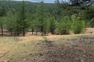 110 Wallace Dr, Florissant, CO 80816 - Photo 35