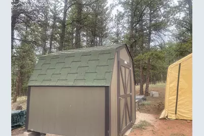 110 Wallace Drive, Florissant, CO 80816 - Photo 9