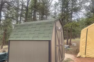 110 Wallace Dr, Florissant, CO 80816 - Photo 9
