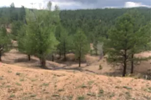 110 Wallace Dr, Florissant, CO 80816 - Photo 31