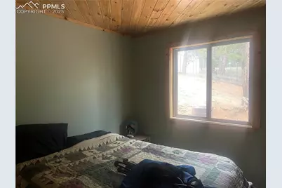 110 Wallace Drive, Florissant, CO 80816 - Photo 17
