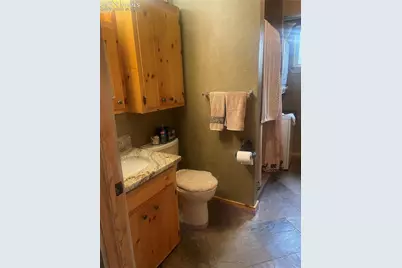 110 Wallace Drive, Florissant, CO 80816 - Photo 11