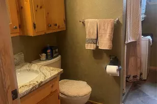 110 Wallace Dr, Florissant, CO 80816 - Photo 11